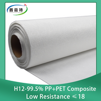 99.5% H12 HEPA Filter Media
